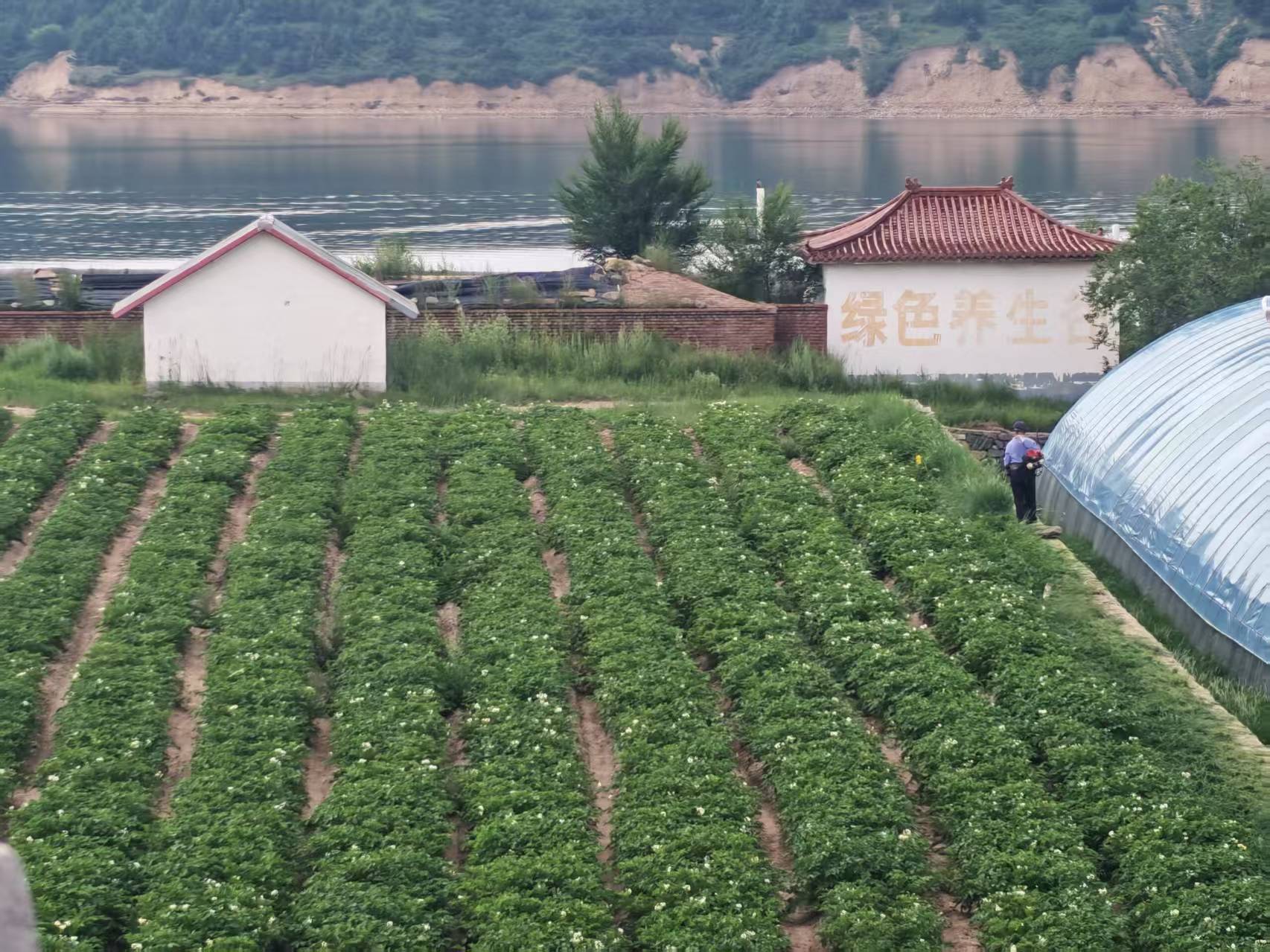 兴和县设施农业种植基地